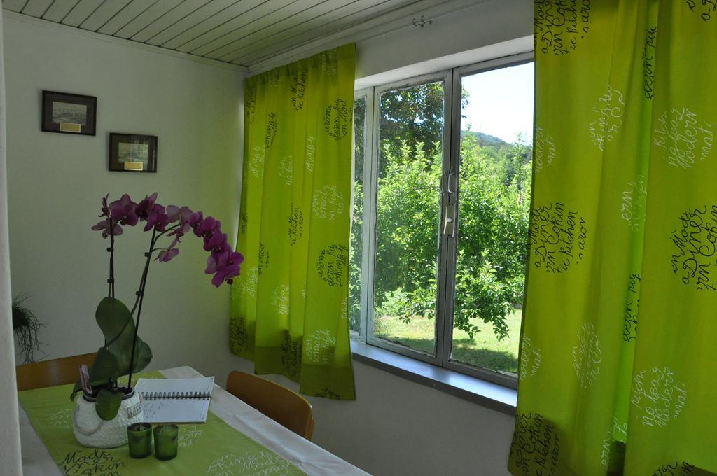 Apartment Marioni Buzet Exterior photo